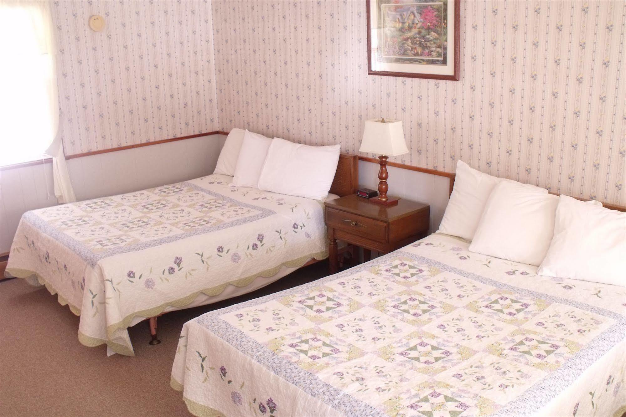 Starlight Lodge North Conway Εξωτερικό φωτογραφία